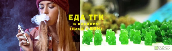 МДПВ Бородино