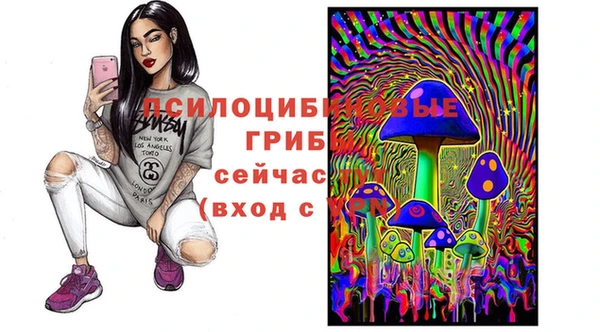 МДПВ Бородино