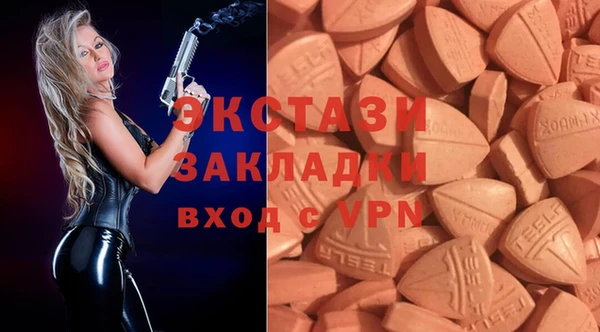 МДПВ Бородино