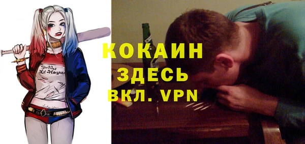 МДПВ Бородино