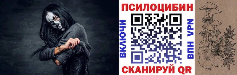 как найти закладки  Выборг  Псилоцибиновые грибы мицелий 