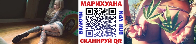 Конопля план  сколько стоит  Выборг 
